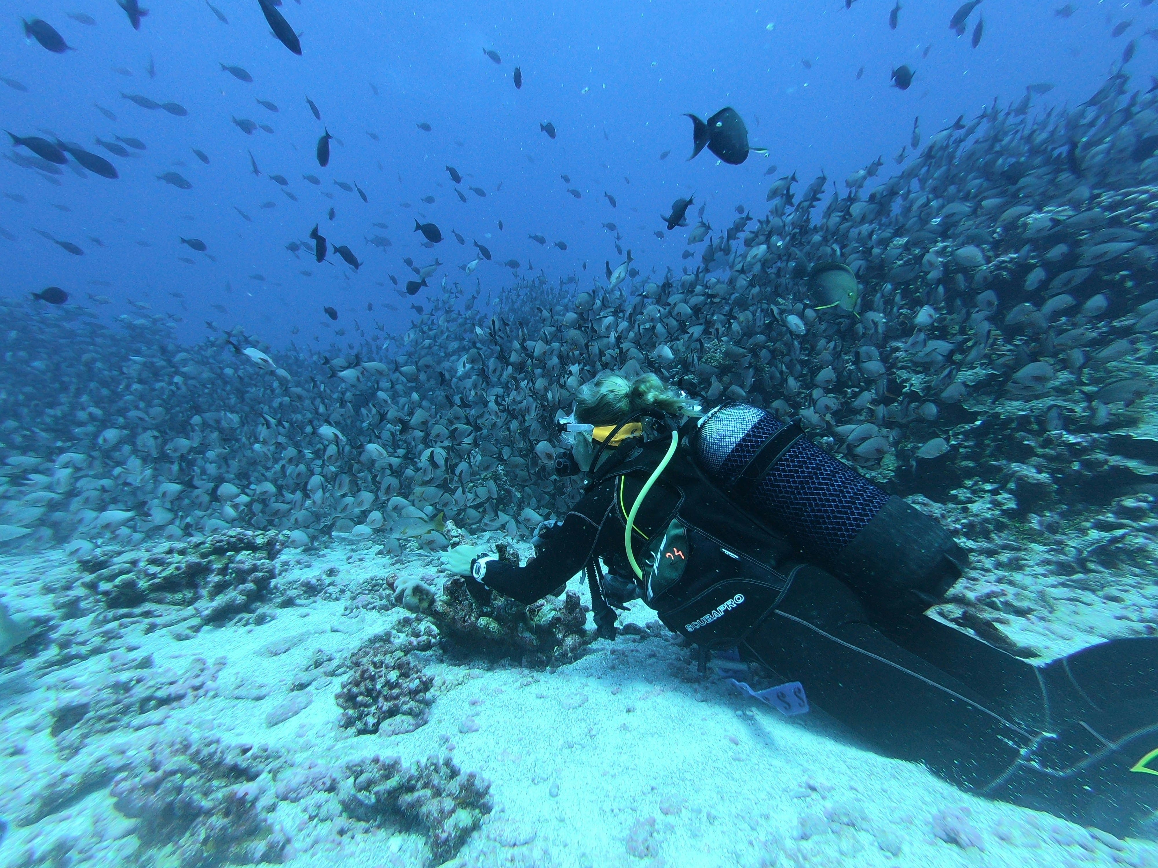 ADVANCE OPEN WATER COURSE