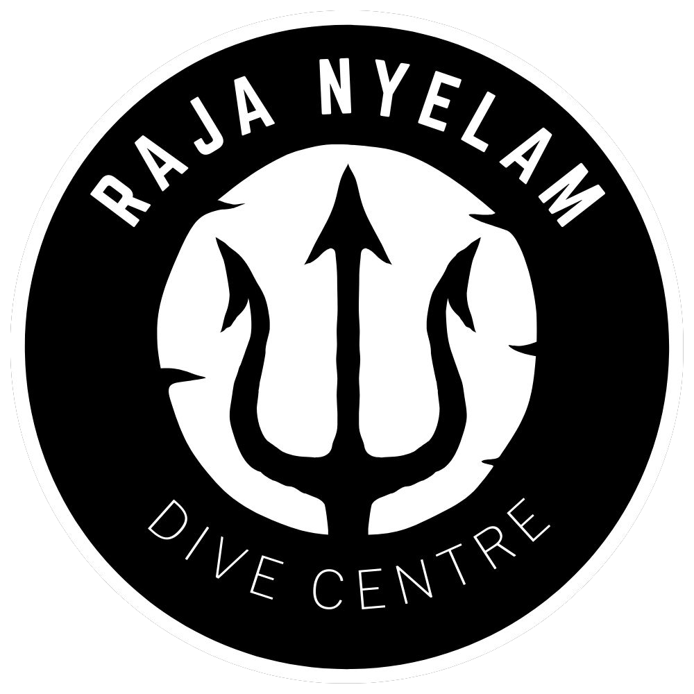 Raja Nyelam